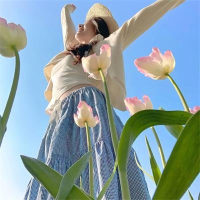 摩尔先生以及巧克力工厂