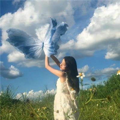 伟大的美国牛仔